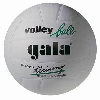 Volejbalový míč GALA Training White - BV 5041 S